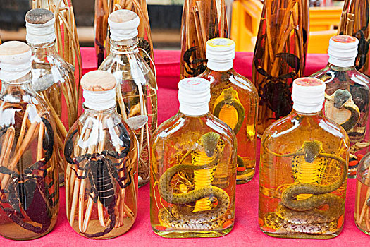 老挝,琅勃拉邦,禁止,乡村,展示,威士忌