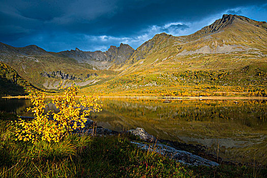 秋天,湖,罗弗敦群岛,挪威,欧洲
