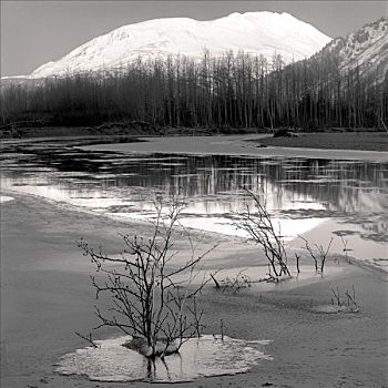 河,冰,波蒂奇,阿拉斯加,冬天