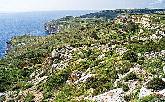 悬崖,马耳他,欧洲,南欧,大幅,尺寸