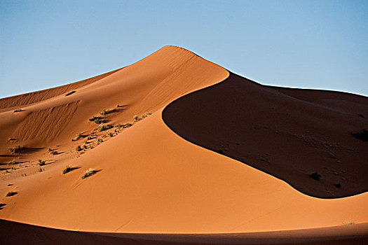 沙丘,却比沙丘,靠近,梅如卡,摩洛哥