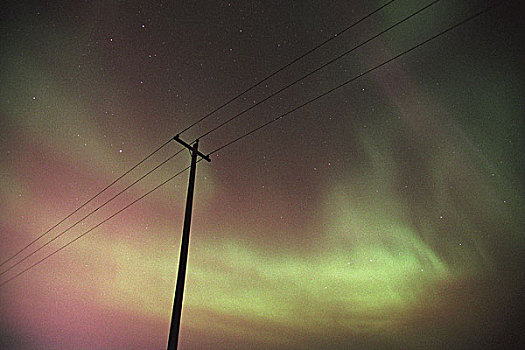 剪影,电线,北极光,艾伯塔省,加拿大