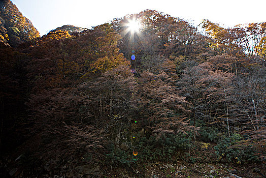 光雾山