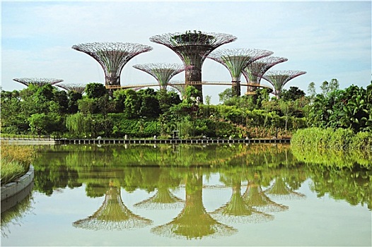 花园,湾,新加坡