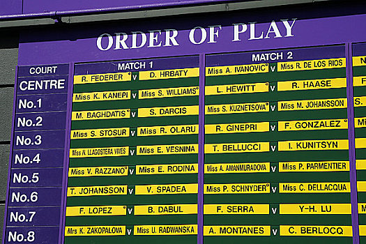英格兰,伦敦,温布尔登,玩,板,白天,网球,冠军,2008年
