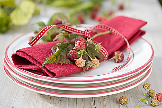餐巾环,小,树莓,枝条