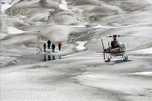 游客,探索,朱诺冰原,直升飞机,旅游,通加斯国家森林,靠近,阿拉斯加,夏天