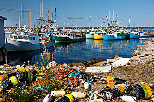 渔船,捆绑,小湾,码头,新斯科舍省,加拿大