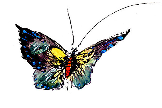 中国画蝴蝶