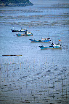 霞浦风光