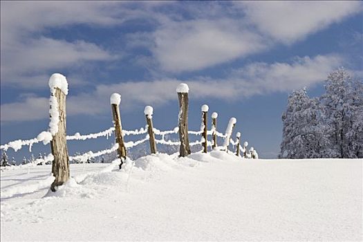 冬季风景,景色,栅栏,巴伐利亚,德国,欧洲