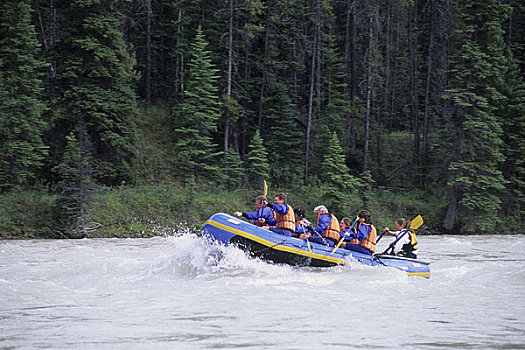 加拿大,艾伯塔省,碧玉国家公园,阿萨巴斯卡河,人,乘筏