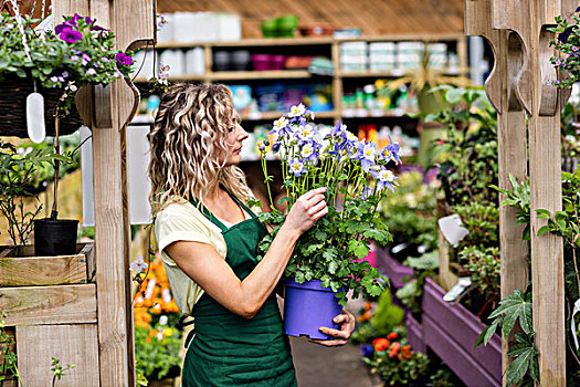 女性,花商,看,盆栽,花卉商店