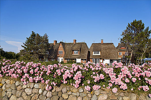 花,石墙,房子,背景,凯图姆,德国