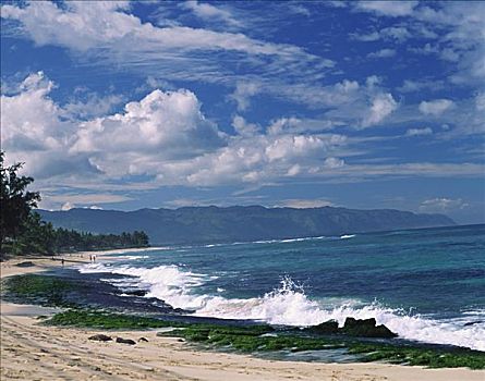 夏威夷,瓦胡岛,北岸,海滩,岩石,海岸线,波浪,冲浪