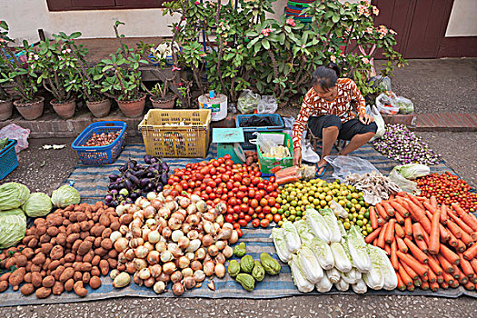 果蔬,出售,早晨,市场,琅勃拉邦,老挝,东南亚,亚洲