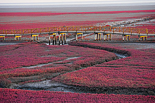红海滩,渤海