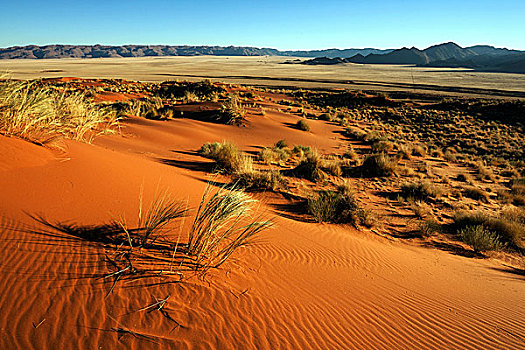 南方,山麓,纳米布沙漠,沙子,草,后面,山,晨光,纳米比亚,非洲