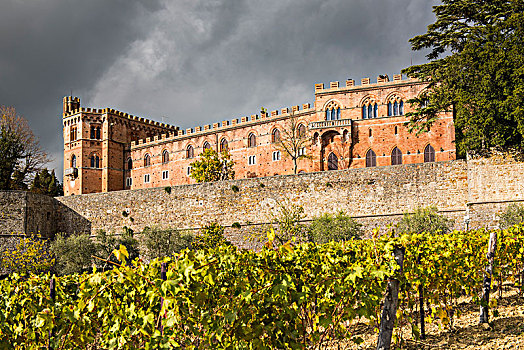 城堡,锡耶纳省,托斯卡纳,意大利
