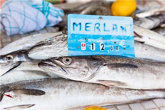 鱼肉,海鲜,市场
