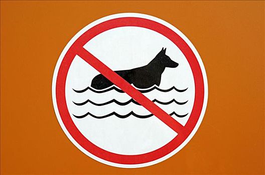 标识,禁止,狗,游泳,阿利坎特,白色海岸,西班牙