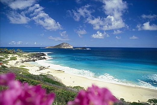 夏威夷,瓦胡岛,兔子,岛屿,向风,白天,太平洋