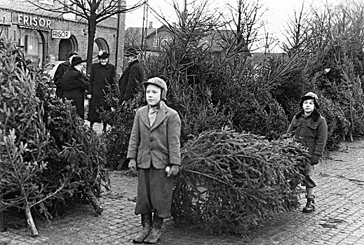 销售,圣诞树,特雷勒堡,瑞典,20世纪50年代,艺术家,未知
