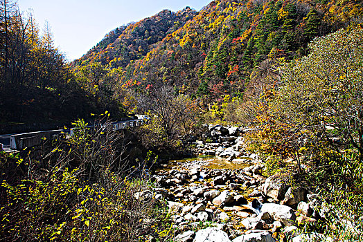 秦岭山