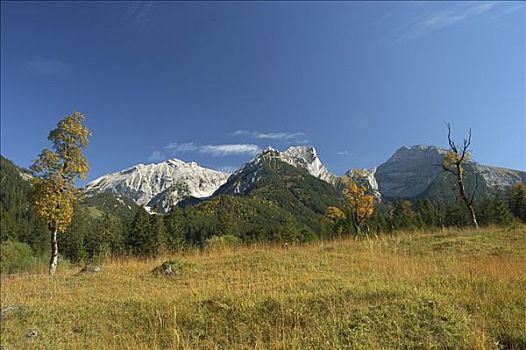 秋天风景,山脉,提洛尔,奥地利