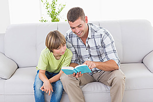 父亲,读,故事,男孩,沙发