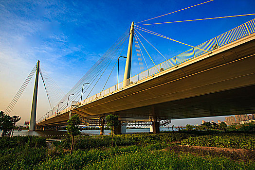江北,青林湾大桥,桥梁,建筑,交通