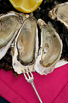 牡蛎,红色,餐巾,银,叉子,布列塔尼半岛,法国