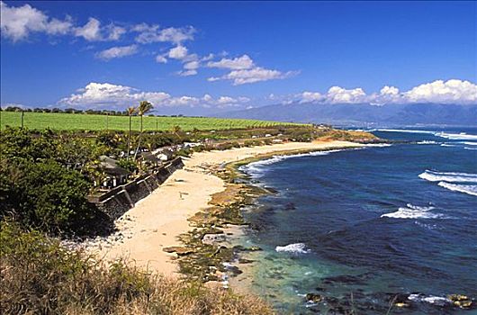 夏威夷,毛伊岛,海滩,北海岸