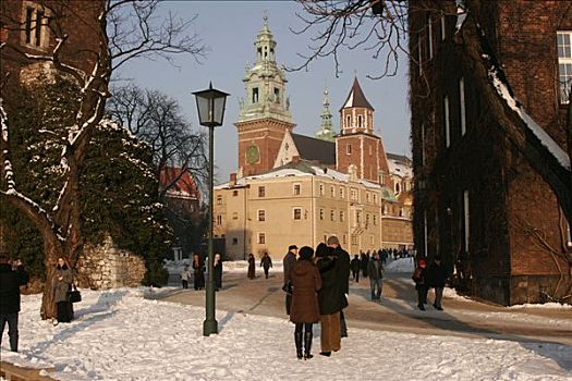 皇宫,山,冬天,克拉科夫,波兰,欧洲