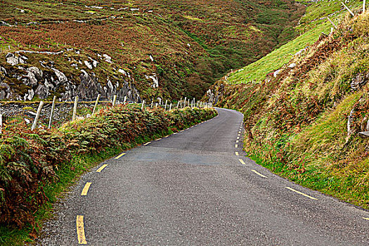 公路,丁格尔半岛,凯瑞郡,爱尔兰