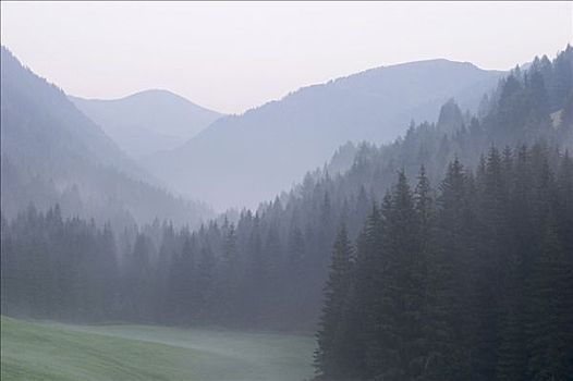 晨雾,国家公园,卡林西亚,奥地利