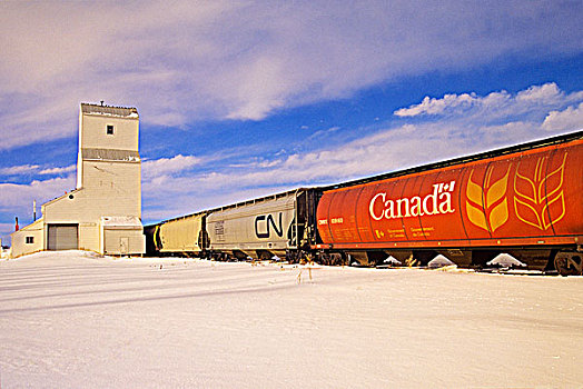 谷仓,列车,艾伯塔省,加拿大