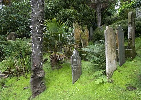 墓碑,公墓,康沃尔,英格兰,英国,欧洲