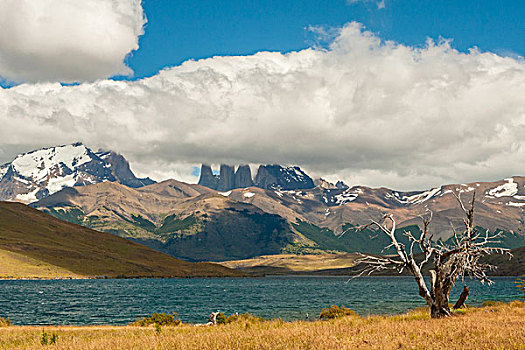 南美,智利,巴塔哥尼亚,托雷德裴恩国家公园,塔,山,戈登,画廊
