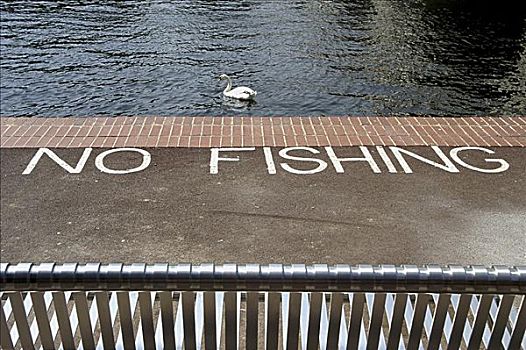俯拍,禁止钓鱼,标识