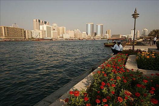 花,散步场所,迪拜河,酋长国,迪拜,阿联酋,亚洲