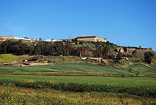 农田,卡尔莫纳,安达卢西亚,西班牙