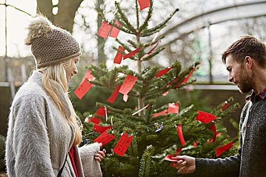 女人,选择,传统,松树,圣诞树,读,红色,手写,标签,枝条