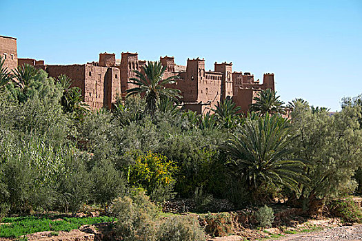 城市,砖坯,房子,瓦尔扎扎特,摩洛哥,非洲