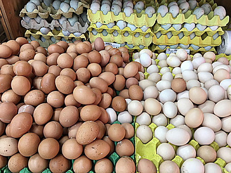 超市里货架上的鸡蛋