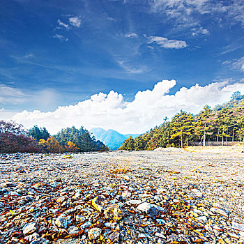 秋天,风景