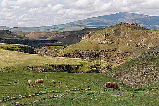 山谷,河,边界,亚美尼亚,丝绸,路线,东安纳托利亚地区,安纳托利亚,土耳其,亚洲