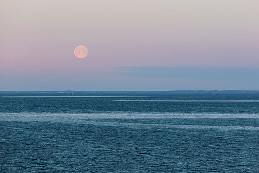 满月,晚上,天空,上方,波罗的海,冬天