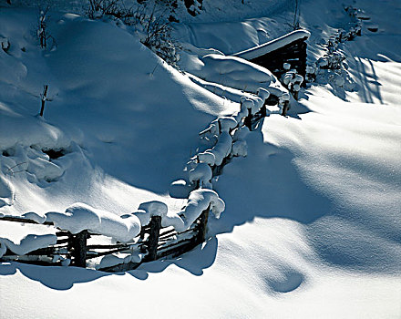 冬天,风景,栅栏,小屋,提洛尔,奥地利