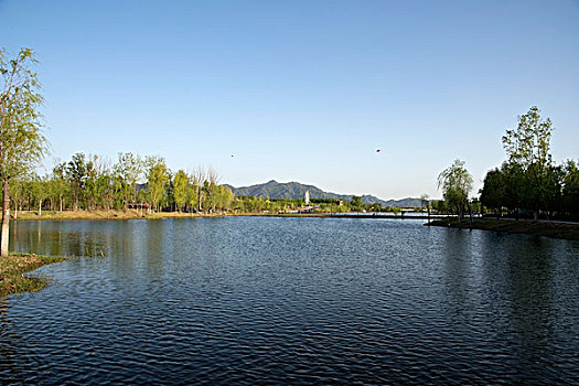 龙湾国际宿营地